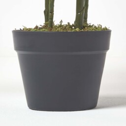 Homescapes Multi Stem Green Palm Tree in Pot, 120 cm - Green - thumbnail 3
