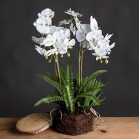 Large Orchid Fern Garden in Rootball Realistic Artificial Plant - White - thumbnail 1