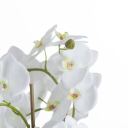 Large Orchid Fern Garden in Rootball Realistic Artificial Plant - White - thumbnail 3