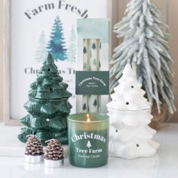 Set of 6 Pinecone Tealight Candles - Unscented - thumbnail 2