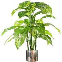 Large Fox  Aglaonema Tree Artificial Plant Silver Metal Planter - Green