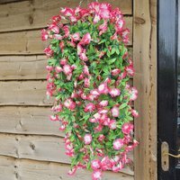 Morning Glory Trailing Flowers with Rattan Wicker Hanging Baskets - Fuchsia & White - image 1