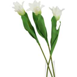 Set of 3 Curcuma Stems Silk Textured Blooms - White - thumbnail 3