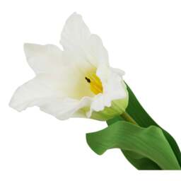 Set of 3 Curcuma Stems Silk Textured Blooms - White - thumbnail 2