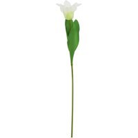 Set of 3 Curcuma Stems Silk Textured Blooms - White - thumbnail 1