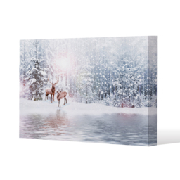 In The Frost Gallery Canvas - Blue / 41cm / 61cm - thumbnail 2