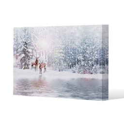 In The Frost Gallery Canvas - Blue / 41cm / 61cm - thumbnail 3