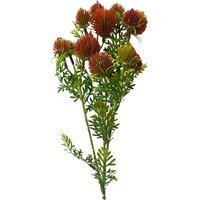 Artificial Red Craspedia Flower Stem 55cm - Red