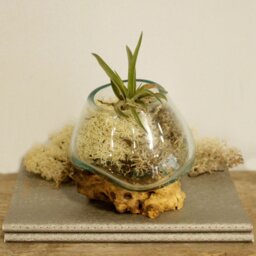 Molten Glass on Wood Bowl Handmade Recycled Bali Art Decor - Turquoise - thumbnail 4