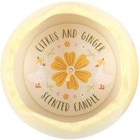 Citrus Ginger Egg Shaped Candle Spring Scented Home Decor - Yellow