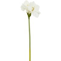 Fiori Ivory Amarylilis Flower Stem - White