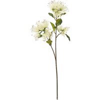 Set of 3 Protea Nitida Artificial Flower Sprays Tall Faux Protea Stems - Cream