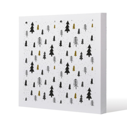 Winter Graphic Gallery Canvas - White / 46cm - thumbnail 2