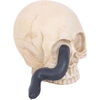 Resin Skull Ornament with Snake - H12cm - image 1