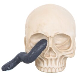 Resin Skull Ornament with Snake - H12cm - thumbnail 2