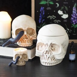 Resin Skull Ornament with Snake - H12cm - thumbnail 4