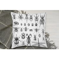 Fleas Many Species In Vintage Old Hand Drawn Style Cushion - White - image 1