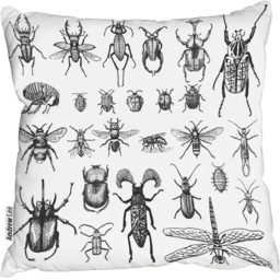 Fleas Many Species In Vintage Old Hand Drawn Style Cushion - White - thumbnail 2