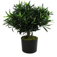 40cm Artificial Podocarpus Bush with Genuine Wood Trunk - Green