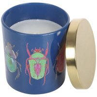 Something Different Amber & Vanilla Beetle Scented Candle - Multicoloured