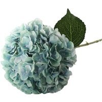 Giant Head Hydrangea Single Stem  - Blue