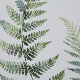 Watercolour Fern Duo In Washed Wood Frame - Brown - thumbnail 3