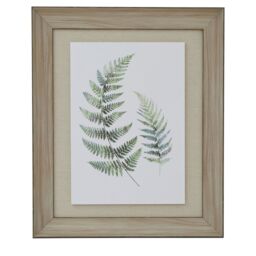 Watercolour Fern Duo In Washed Wood Frame - Brown - thumbnail 4