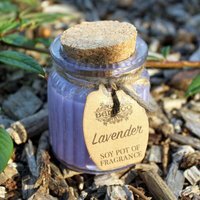 Lavender Soy Pot of Fragrance Candles - Purple