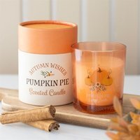 Autumn Wishes Pumpkin Pie Candle Cozy Fall Scent Gift Idea - Silver