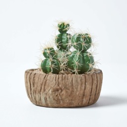 Homescapes Echinocactus Artificial Cactus in Round Wooden Planter, 15 cm Tall - Green - thumbnail 2
