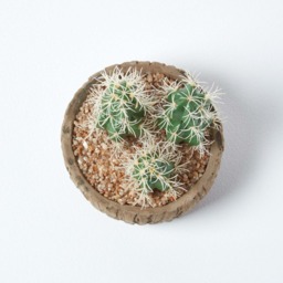 Homescapes Echinocactus Artificial Cactus in Round Wooden Planter, 15 cm Tall - Green - thumbnail 4