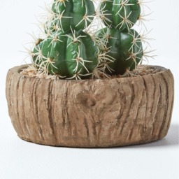 Homescapes Echinocactus Artificial Cactus in Round Wooden Planter, 15 cm Tall - Green - thumbnail 5