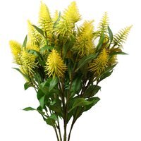 Bunch of Callistemson Pallidus Yellow Bottle Brush Stems Flowers - Yellow Bottle Brush
