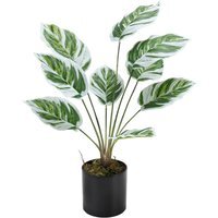 Faux Calathea White Fusion Plant - Green - image 1