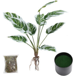 Faux Calathea White Fusion Plant - Green - thumbnail 4
