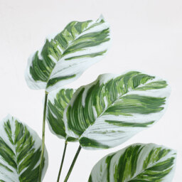 Faux Calathea White Fusion Plant - Green - thumbnail 2