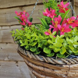 Best Artificial Large 14 inch Mini Daffodil Flower Hanging Outdoor Garden Basket - Pink Daffodil - thumbnail 2