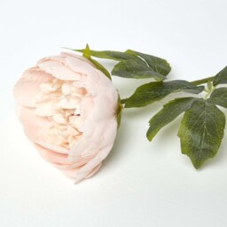 Pale Pink Peony Single Stem 56 cm - Pink - thumbnail 3