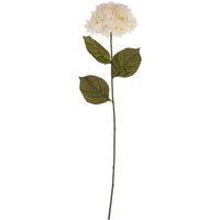 Fiori Cream Hydrangea Flower Stem - White, Cream