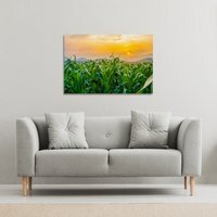 green corn field in agricultural garden and light shines sunset Canvas Print - Green / 101cm / 127cm - image 1
