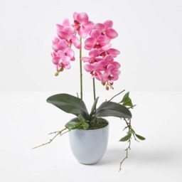 Homescapes Pink 54cm Lifelike Artificial Orchid in Grey Ceramic Pot - Pink - thumbnail 3