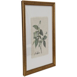 Gold Framed Botanical Flowers Wall Art - thumbnail 3