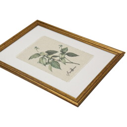 Gold Framed Botanical Flowers Wall Art - thumbnail 4