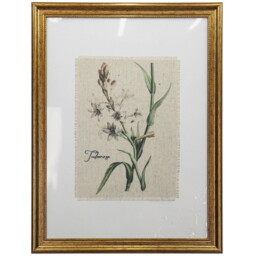 Gold Framed Botanical Flowers Wall Art - thumbnail 5