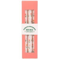 Set of 3 Tulip Print Taper Candles - Unscented