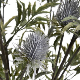 Eryngium Thistle Unique Floral Accent - Purple - thumbnail 3