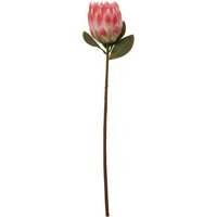Fiori Pink Protea Flower Stem - Pink
