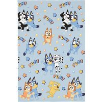Bluey Fun Friends Throw - Blue