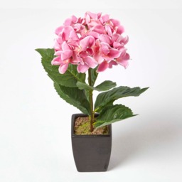 Homescapes Small Pink Artificial Hydrangea Flower in Black Pot, 38 cm Tall - Pink - thumbnail 2