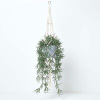Homescapes Artificial Hanging Basket Green Rhipsalis Plant, 116 cm - Green - image 1